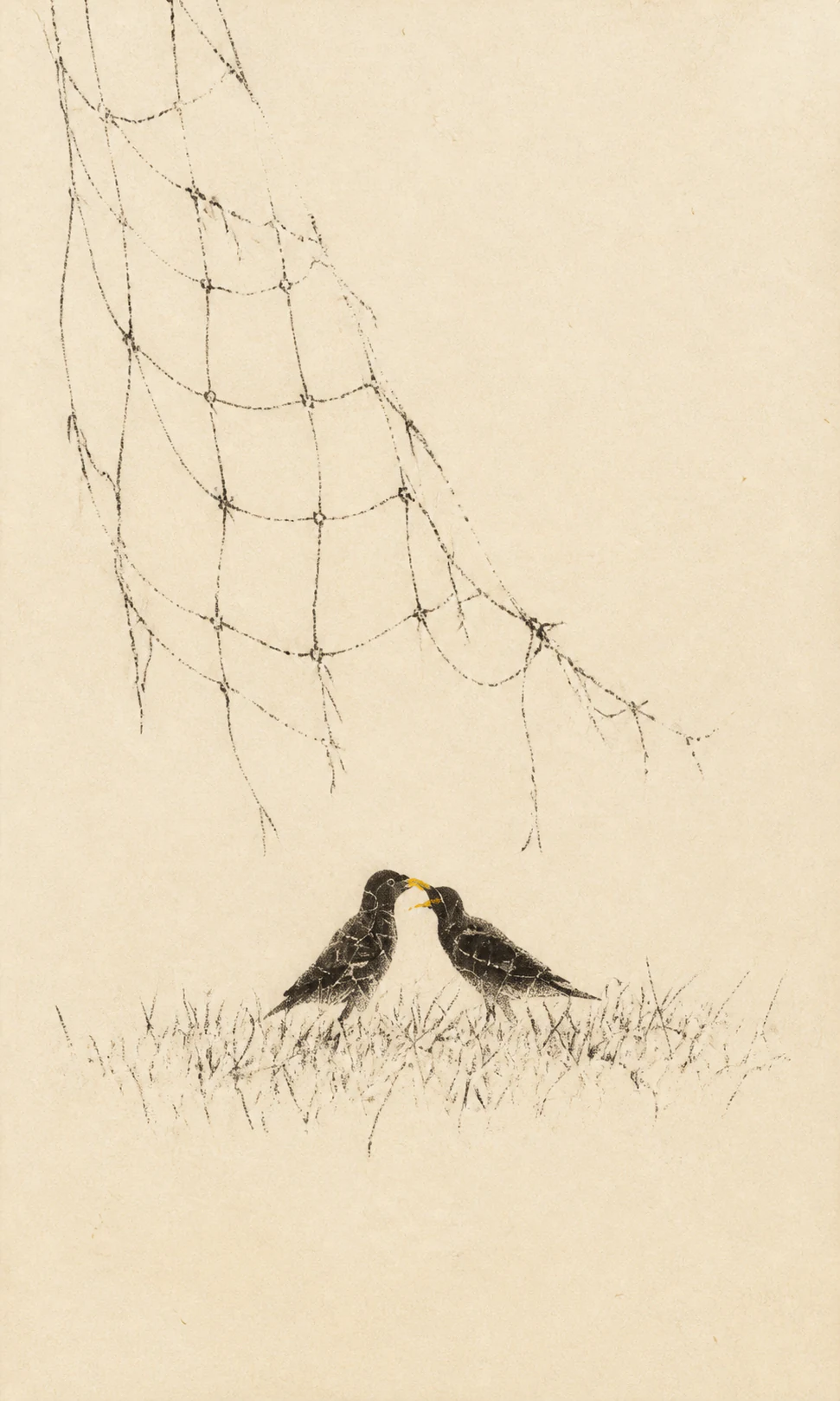 12-mynas-illustration.webp